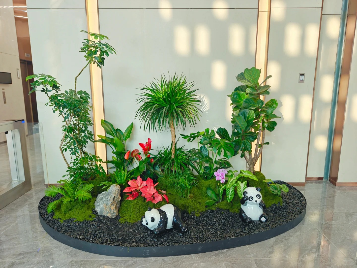 专业盆景租摆,领略宁波镇海的自然之美!